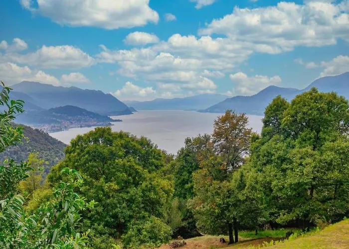 In Bosco With Scenic Terrace