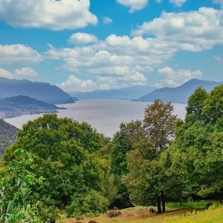 In Bosco With Scenic Terrace